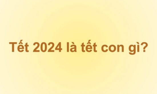 Tết 2024 là năm con gì và mệnh gì? Lịch tết năm 2024 vào ngày nào?