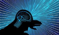 ‘Trí tuệ hữu cơ’ (OI) sẽ vượt trội trí tuệ nhân tạo (AI)