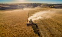 Phân tích: Đất nông nghiệp của Mỹ âm thầm rơi vào tay Trung Quốc như thế nào?