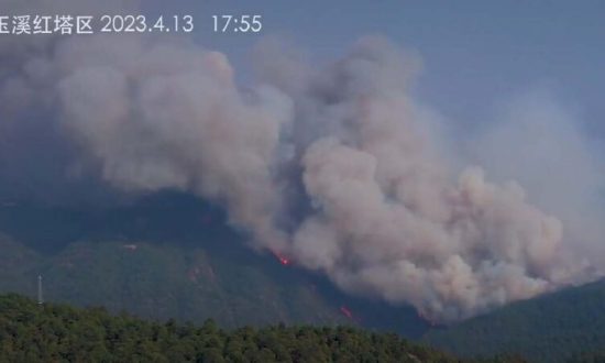 Cháy rừng bùng phát ở nhiều tỉnh của Trung Quốc