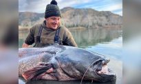 Cần thủ may mắn bắt được con cá da trơn 'quái vật' nặng hơn 100 kg