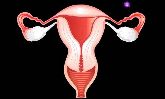 3 cách trẻ hóa và ngăn ngừa suy buồng trứng sớm ở phụ nữ