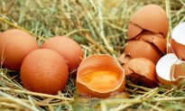 Trứng gà, trứng vịt, trứng ngỗng, trứng cút, giá trị dinh dưỡng chênh lệch quá, loại nào bổ dưỡng nhất?
