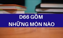 D66 gồm những môn nào? Khối D66 gồm những ngành nào, học trường gì?