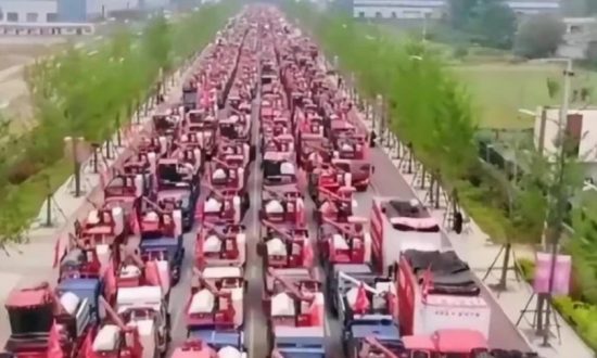 Trung Quốc: CSGT tạm giữ hơn 100 máy gặt khiến nông dân không kịp thu hoạch, mưa lớn gây thiệt hại nặng