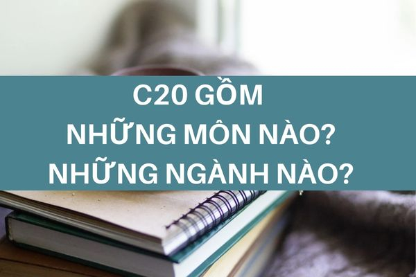 C20 gồm những môn nào? C20 gồm những ngành nào? Trường nào tuyển sinh khối C20?