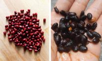 Những tác dụng kỳ diệu của món ‘đậu đỏ + đậu đen’: Thải độc cơ thể và tăng cường chức năng thận