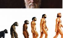 Tại sao không nên dạy Thuyết tiến hóa của Darwin trong trường học?