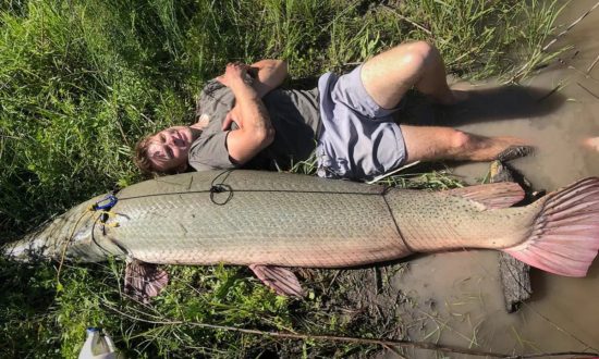 Video: Đi câu cùng cha, một người đàn ông ở bang Texas đã bắt được một con cá láng lớn Bắc Mỹ nặng gần 94kg phá kỷ lục