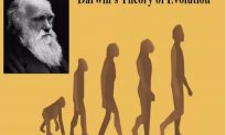 Những quốc gia nào đã gỡ bỏ Thuyết tiến hóa của Darwin ra khỏi sách giáo khoa?