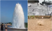 Thêm loạt dị tượng ở Trung Quốc: Mặt nước sôi sùng sục, phun trào 5 mét, cá nhảy khỏi hồ