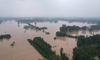 Gần như toàn bộ khu vực Trác Châu bị ngập lụt, tại sao chính quyền thành phố không bị ngập lụt?