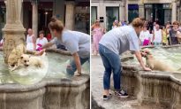 Video vui nhộn ghi lại cảnh người phụ nữ cố gắng bắt chú chó đang nô đùa trong đài phun nước công cộng