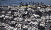 'Cơn ác mộng tồi tệ nhất': Cư dân Maui không được cảnh báo khi ngọn lửa hung tàn lan đến