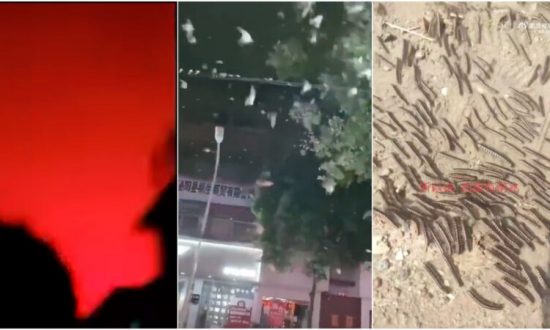 Dị tượng trước trận động đất ở Sơn Đông: Trời rực đỏ, giun bò lổm ngổm, én bay đầy trời