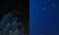 Đàn chim phát sáng trên bầu trời Hắc Long Giang, Trung Quốc