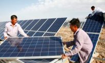 Mặt tối của ngành năng lượng mặt trời: Lao động cưỡng bức tại Tân Cương