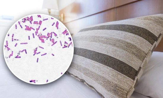 Phát hiện gây sốc về lượng vi khuẩn trong vỏ gối ít giặt, gấp gần… 20.000 lần so với bệ toilet!