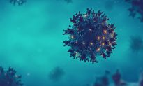 Nghiên cứu:  RNA của virus vẫn có thể tồn tại trong cơ thể sau 2 năm mắc COVID-19