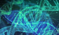 Máy tính dựa trên DNA có khả năng chạy 100 tỷ chương trình khác nhau 