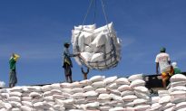 Indonesia mở thầu mua 300.000 tấn gạo, Việt Nam trúng thầu 50.000 tấn