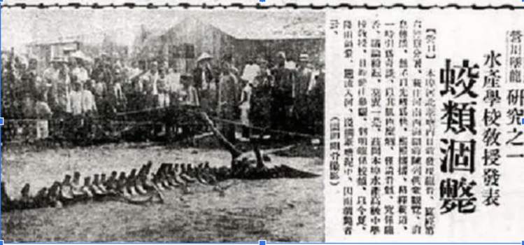 Hình ảnh bài báo của Thịnh Kinh thời báo chia sẻ về sự kiện rồng rơi xuống Doanh Khẩu. 