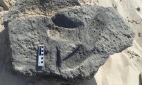 Dấu chân trên bãi biển Nam Phi tiết lộ người tiền sử có thể đã đi giày dép từ 130.000 năm trước