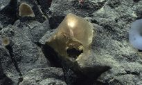 Tàu thăm dò của NOAA tìm thấy một ‘quả cầu vàng’ bí ẩn tại độ sâu 3.300 mét dưới đáy đại dương