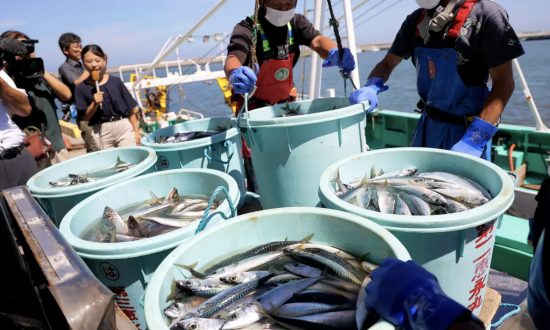 Nga cân nhắc cùng Trung Quốc cấm nhập khẩu hải sản Nhật Bản
