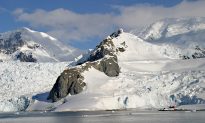 Nghiên cứu: Nam Cực có thể từng có các dòng sông và khu rừng tươi tốt hàng triệu năm trước