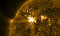 Các nhà nghiên cứu cho biết cực đại Mặt trời đang đến sớm hơn dự kiến
