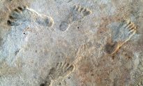 Nghiên cứu cho thấy dấu chân cổ nhất của con người ở Bắc Mỹ là 23.000 năm tuổi