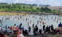 Ngưng xả tràn tại hồ Trị An, hàng trăm người dân đổ xô đi bắt cá