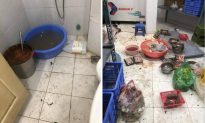 Hà Nội: Bị khách tố bếp mất vệ sinh, quán buffet 99k bất ngờ 'biến mất' trong đêm