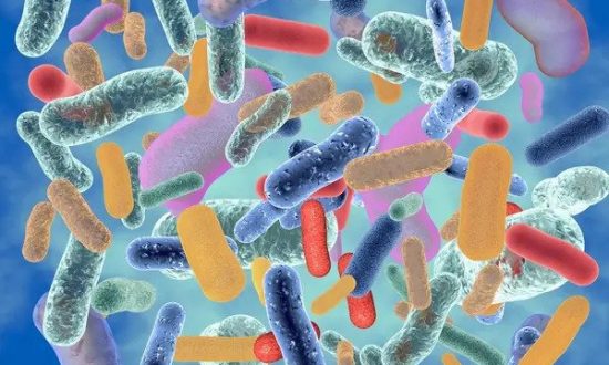 Nuôi dưỡng hệ vi sinh vật đường ruột (Phần 3): Vi khuẩn trong phân nói lên điều gì? 