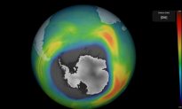 Lỗ thủng tầng ozone ở Nam Cực tăng lên gấp ba lần diện tích Brazil