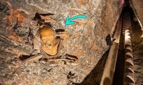 Xác ướp 2.000 năm tuổi được bảo quản ở mỏ muối lâu đời nhất thế giới
