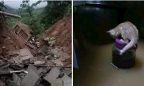 Mưa lớn gây sạt lở đất ở Yên Bái, hàng trăm ngôi nhà bị ngập