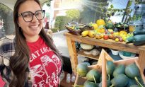 ‘Dự trữ thực phẩm mang lại cảm giác tự do nhất’: Bà mẹ Mỹ tự trồng 400kg thực phẩm để dùng trong một năm