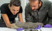 Phát hiện rìu cổ 200.000 năm tuổi của chủng ‘người khổng lồ' ở Ả Rập Saudi 