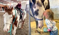 Bé gái chỉ mới 2 tuổi đã có thể cưỡi ngựa trưởng thành