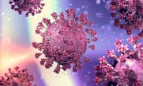 Virus Sars-Cov-2 sử dụng Protein gai để xâm nhiễm tế bào như thế nào?