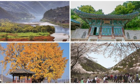 Du lịch Geumsan Hàn Quốc: 10 danh lam thắng cảnh thật là đẹp