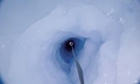 Phát hiện sinh vật bí ẩn ở độ sâu 900m dưới lớp băng Nam Cực