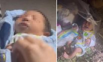 Bình Dương: Bé gái sơ sinh bị bỏ ở bãi đất trống, muỗi cắn sưng đỏ mặt