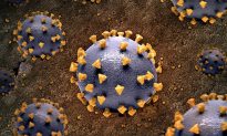 Virus COVID-19 tự vệ trước hệ miễn dịch của con người như thế nào?