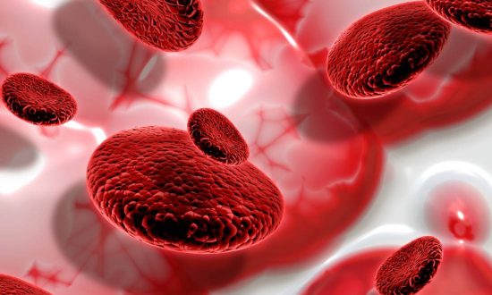 Cholesterol cao trong máu: Ăn ít hơn - Biện pháp đơn giản nhưng đầy thách thức