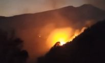 Cháy rừng ở Sa Pa: Thiệt hại khoảng 54 ha, gần 840 người cùng chữa cháy