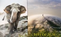 Những bức ảnh xuất sắc nhất năm 2024: Giải thưởng Nhiếp ảnh Thế giới của Sony công bố những người chiến thắng từ 54 quốc gia