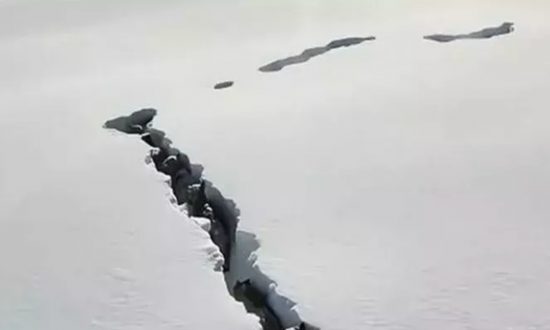 Đàn sói Tân Cương mở đường trong tuyết, cảnh tượng hiếm gặp được ghi lại (video)